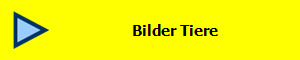 Bilder Tiere