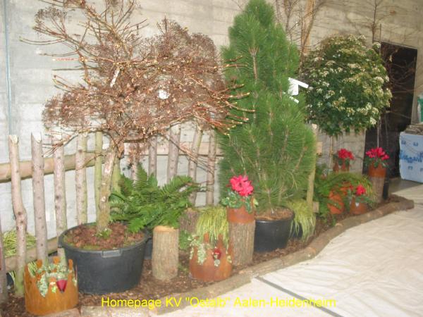 10_KS_Kan_Aalen_2006