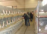 09_KS_Kan_Aalen_2006